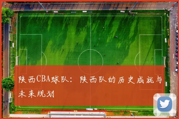 陕西CBA球队：陕西队的历史成就与未来规划