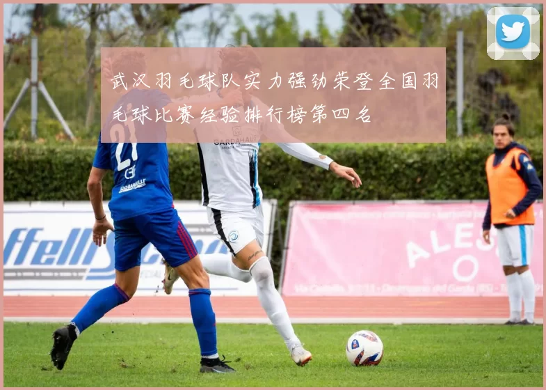 武汉羽毛球队实力强劲荣登全国羽毛球比赛经验排行榜第四名