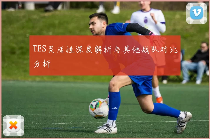 TES灵活性深度解析与其他战队对比分析
