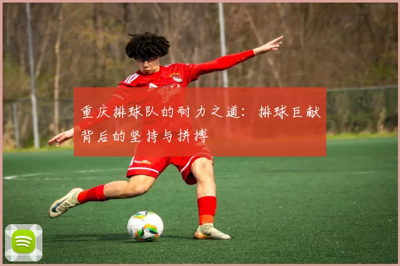 重庆排球队的耐力之道：排球巨献背后的坚持与拼搏