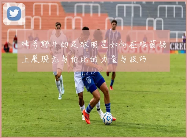 绰号野牛的足球明星如何在绿茵场上展现无与伦比的力量与技巧