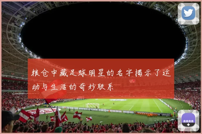 粮仓中藏足球明星的名字揭示了运动与生活的奇妙联系