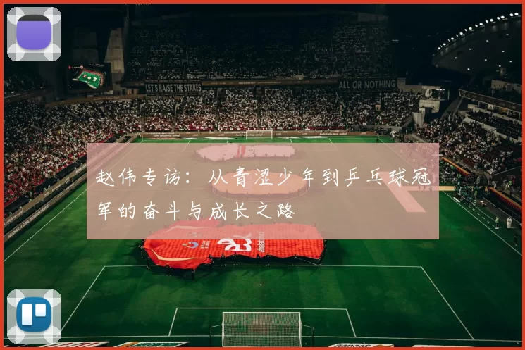 赵伟专访：从青涩少年到乒乓球冠军的奋斗与成长之路