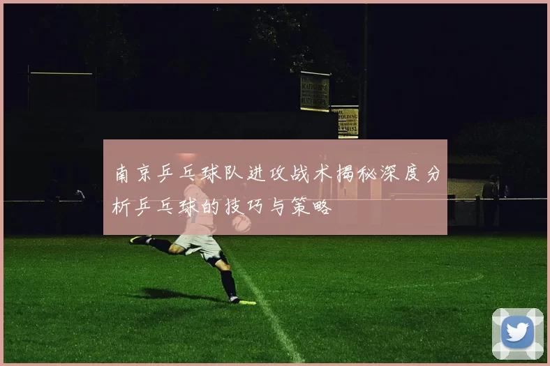 南京乒乓球队进攻战术揭秘深度分析乒乓球的技巧与策略