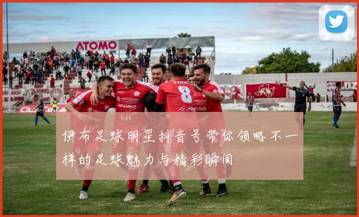 伊布足球明星抖音号带你领略不一样的足球魅力与精彩瞬间