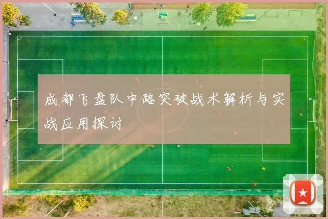 成都飞盘队中路突破战术解析与实战应用探讨