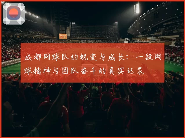 成都网球队的蜕变与成长：一段网球精神与团队奋斗的真实记录