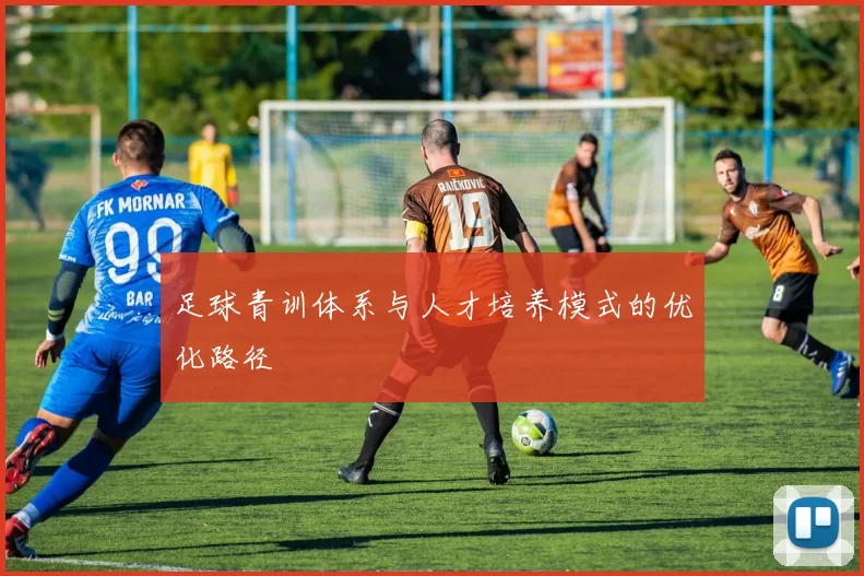 足球青训体系与人才培养模式的优化路径