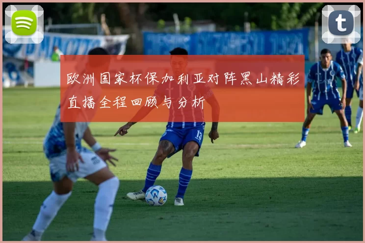 欧洲国家杯保加利亚对阵黑山精彩直播全程回顾与分析