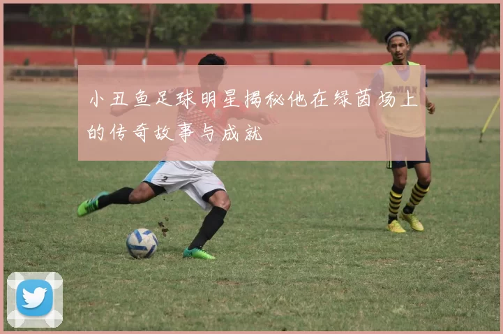 小丑鱼足球明星揭秘他在绿茵场上的传奇故事与成就