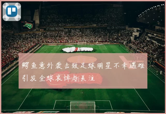 鳄鱼意外袭击致足球明星不幸遇难引发全球哀悼与关注