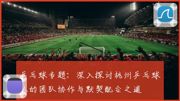 乒乓球专题：深入探讨杭州乒乓球队的团队协作与默契配合之道