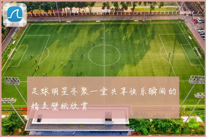 足球明星齐聚一堂共享快乐瞬间的精美壁纸欣赏