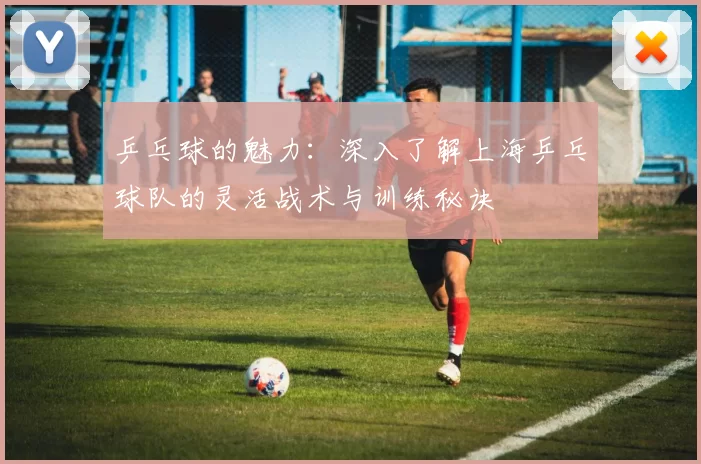 乒乓球的魅力：深入了解上海乒乓球队的灵活战术与训练秘诀