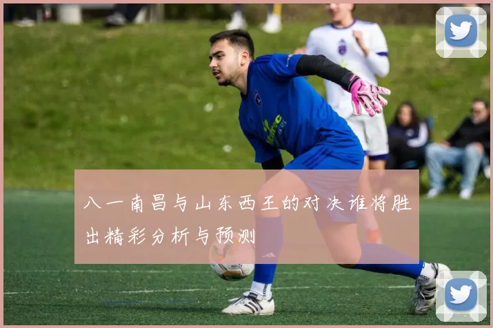 八一南昌与山东西王的对决谁将胜出精彩分析与预测