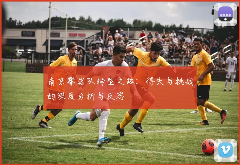 南京攀岩队转型之路：得失与挑战的深度分析与反思