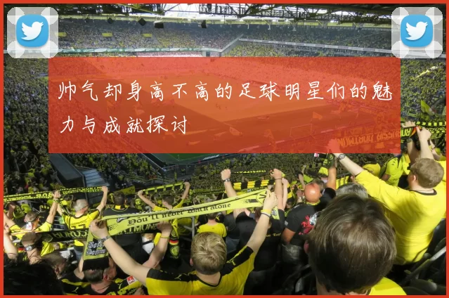 帅气却身高不高的足球明星们的魅力与成就探讨