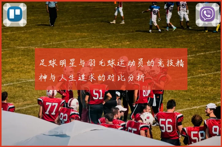 足球明星与羽毛球运动员的竞技精神与人生追求的对比分析