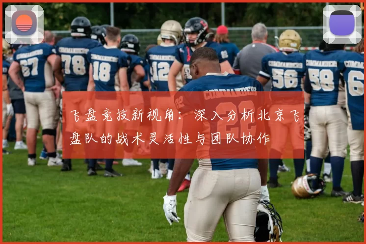 飞盘竞技新视角：深入分析北京飞盘队的战术灵活性与团队协作