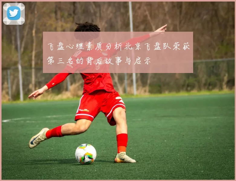 飞盘心理素质分析北京飞盘队荣获第三名的背后故事与启示